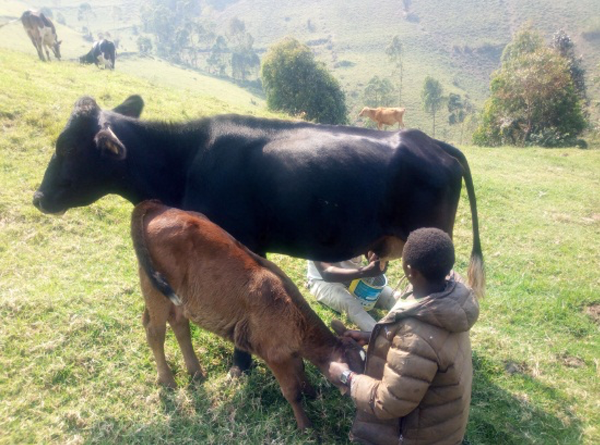 Lutte contre la malnutrition