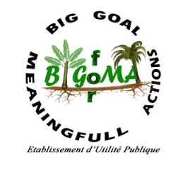 Bigoma — Big goal for meaningful actions